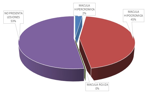 estudios e investigaciones 3
